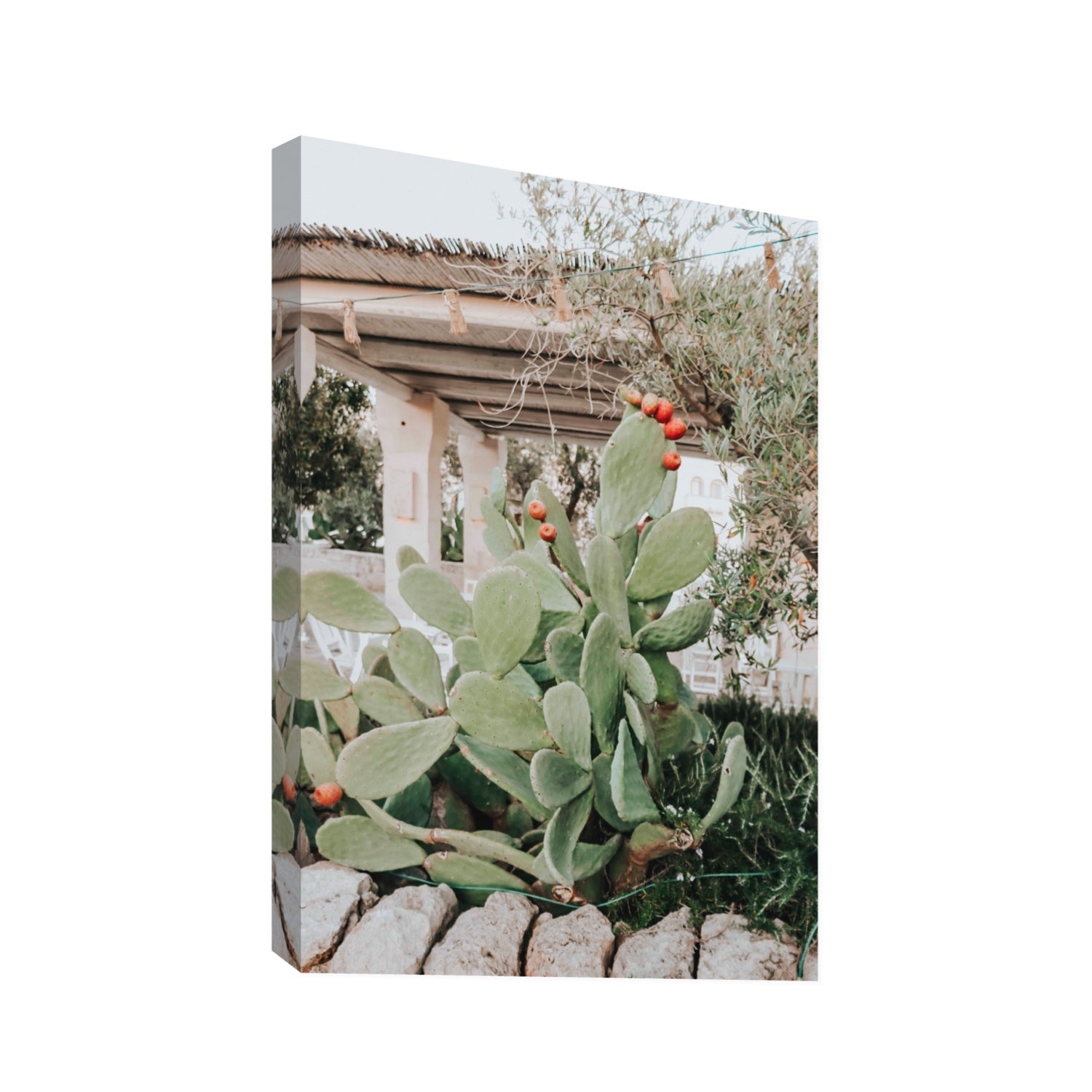 Opuntia Beauty Puglia wall art Statement stretched canvas print