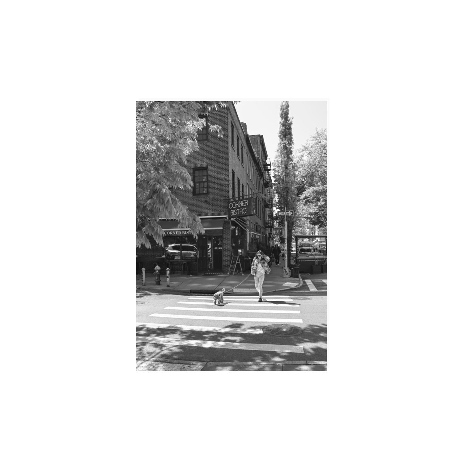 Sunlit Stroll New York NYC Black & White wall art A3, 42 x 29.7 cm unframed fine art canvas