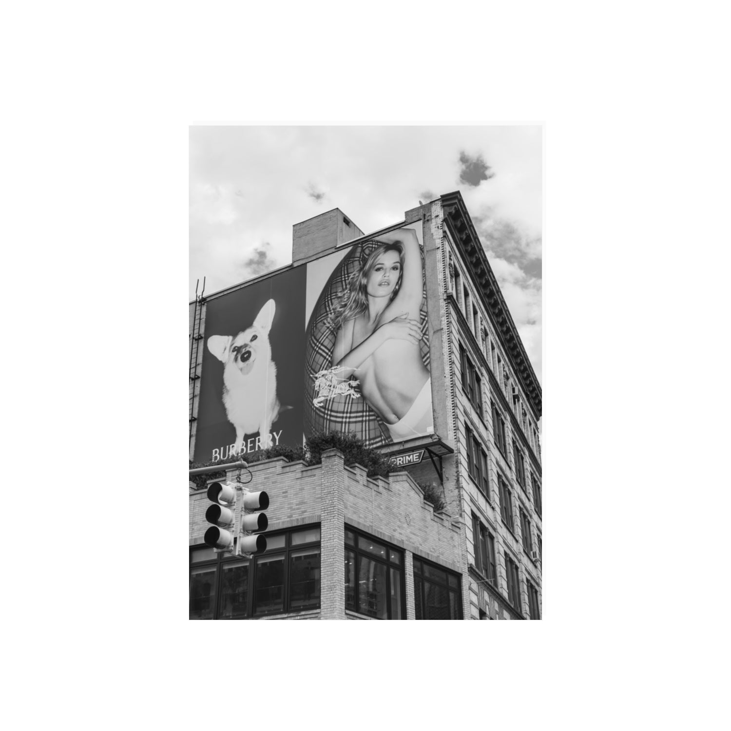 Dynamic Duo fine art print, New York, United States, 70 x 50 cm, Unframed, Fine Art Canvas