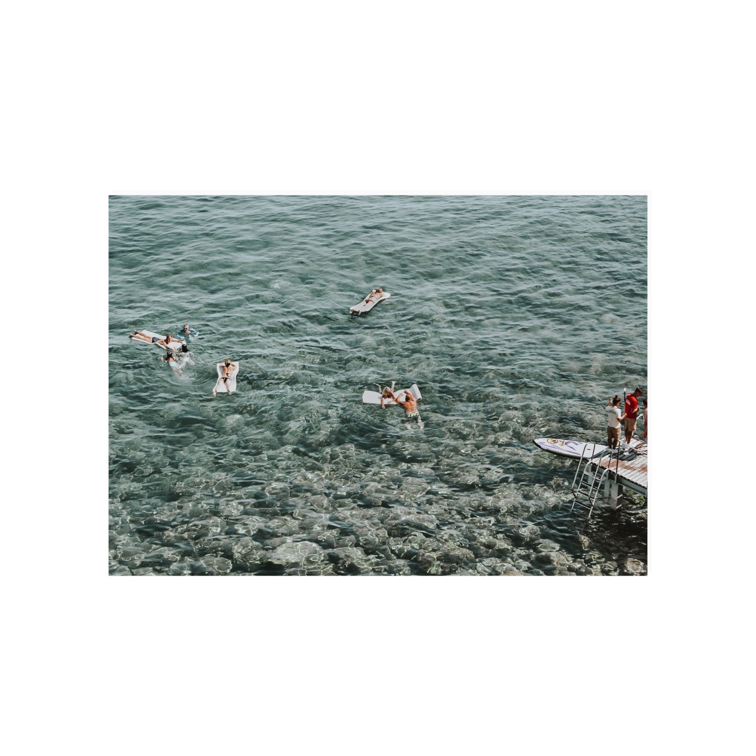 Having A Whale Of A Time Tuscany coastal wall art A1, 84.1 x 59.4 cm unframed fine art canvas