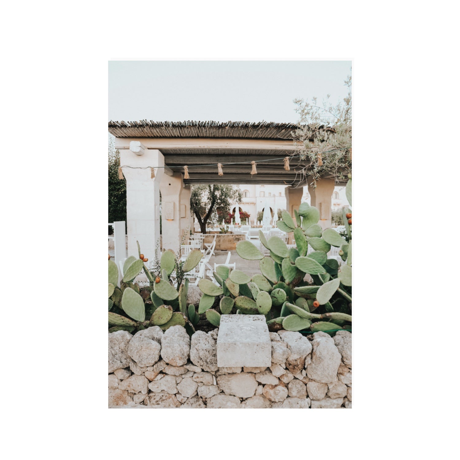 Puglia Flora Puglia Borgo Egnazia Mediterranean wall art 100 x 70 cm unframed fine art canvas