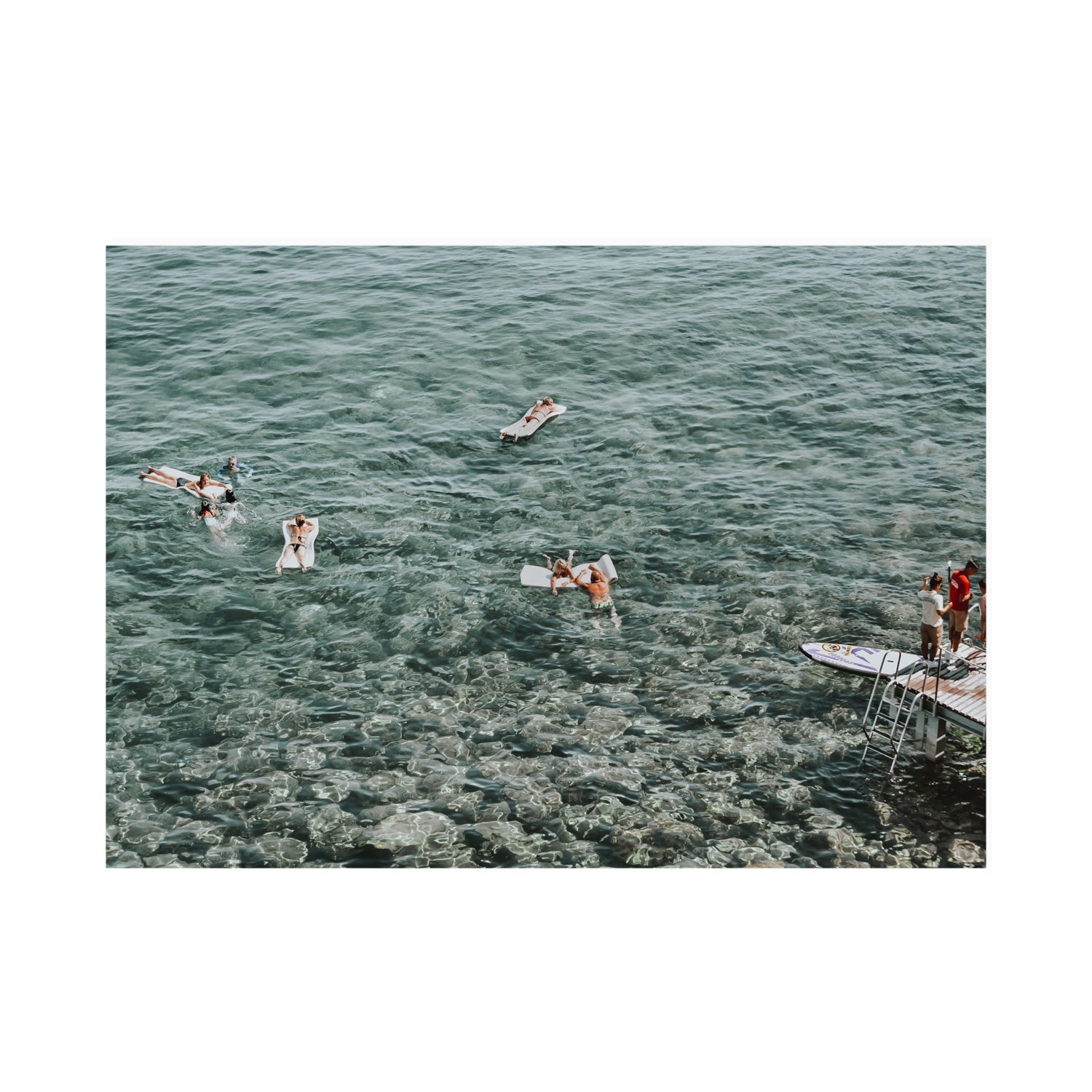 Having A Whale Of A Time Tuscany coastal wall art A0 unframed fine art canvas