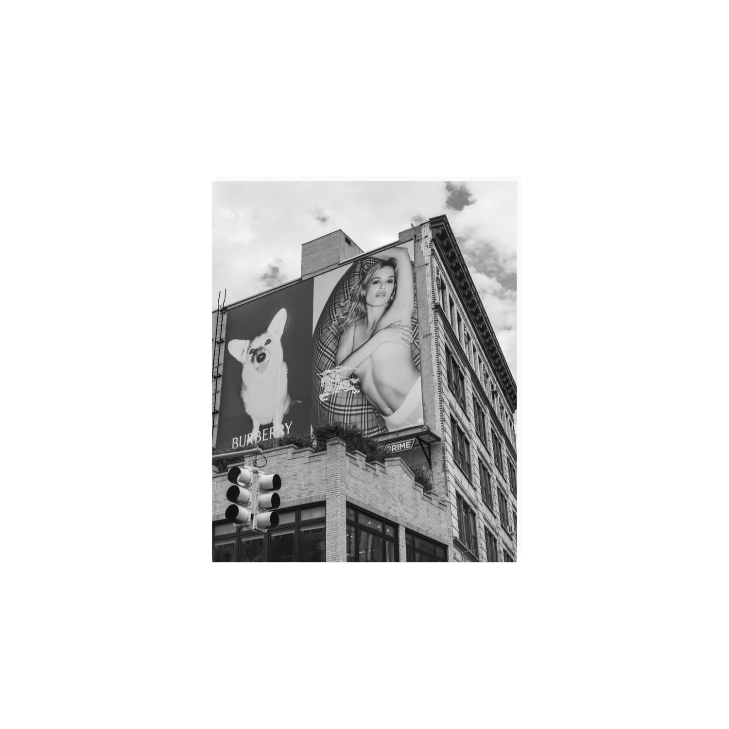 Dynamic Duo fine art print, New York, United States, 8 x 10 in, Unframed, Fine Art Canvas