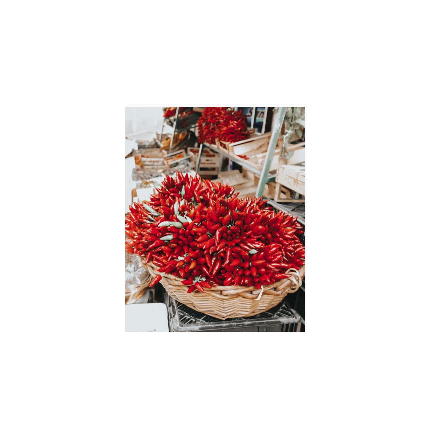 Spicy Bunch Puglia Italian wall art 8 x 10 in unframed fine art canvas