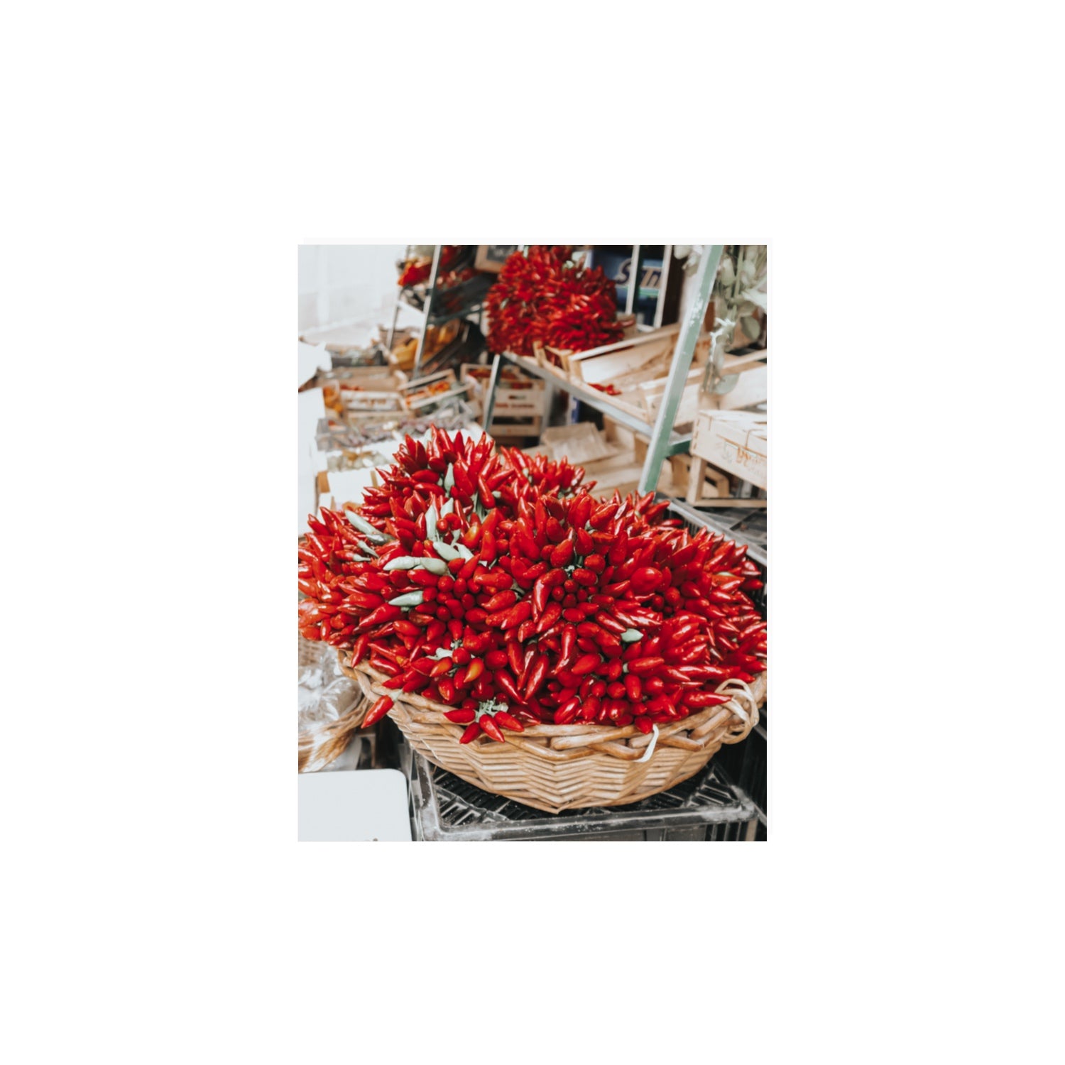 Spicy Bunch Puglia Italian wall art 11 x 14 in unframed fine art canvas