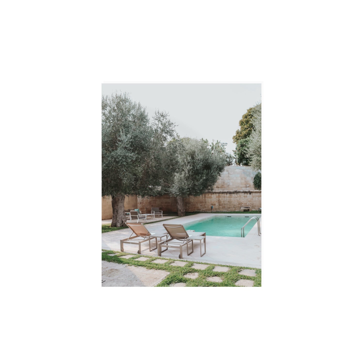 Olive Oasis Puglia Mediterranean wall art 11 x 14 in unframed fine art canvas