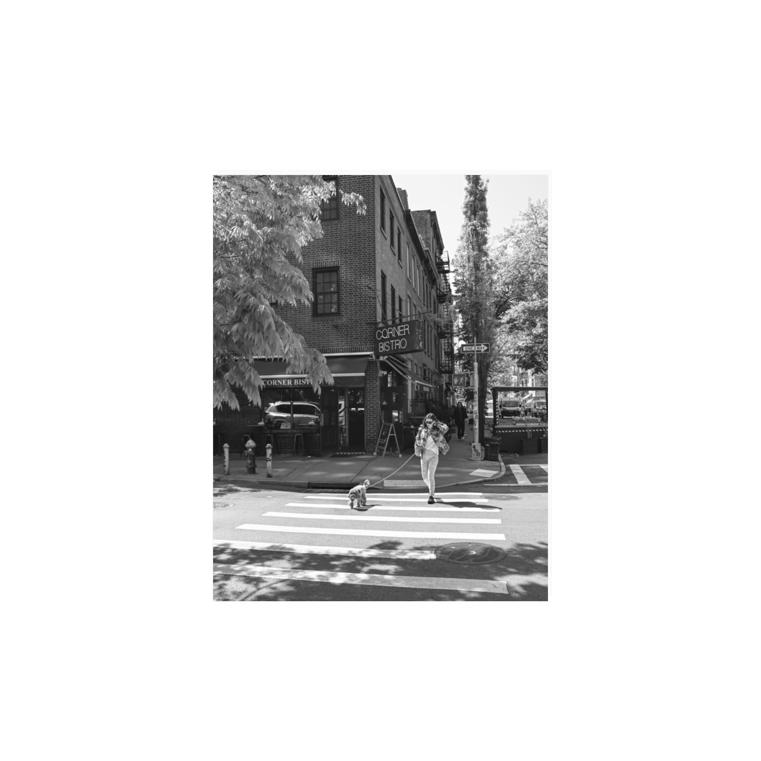 Sunlit Stroll New York NYC Black & White wall art 11 x 14 in unframed fine art canvas