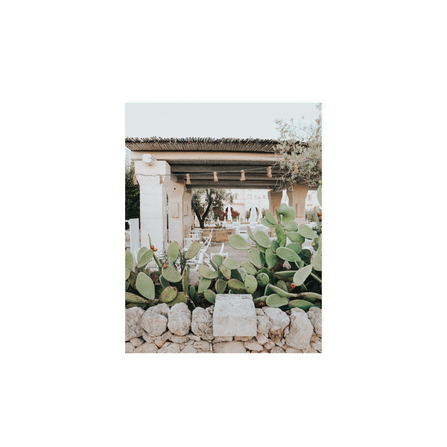 Puglia Flora Puglia Borgo Egnazia Mediterranean wall art 11 x 14 in unframed fine art canvas