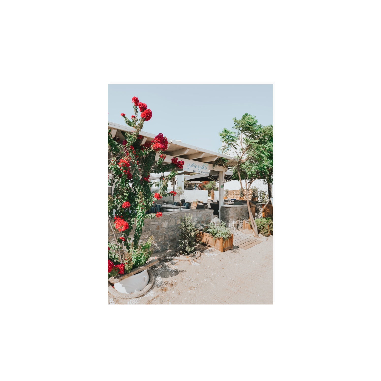Yialo Yialo fine art print, Mykonos, Greece, 12 x 16 in, Unframed, Fine Art Canvas