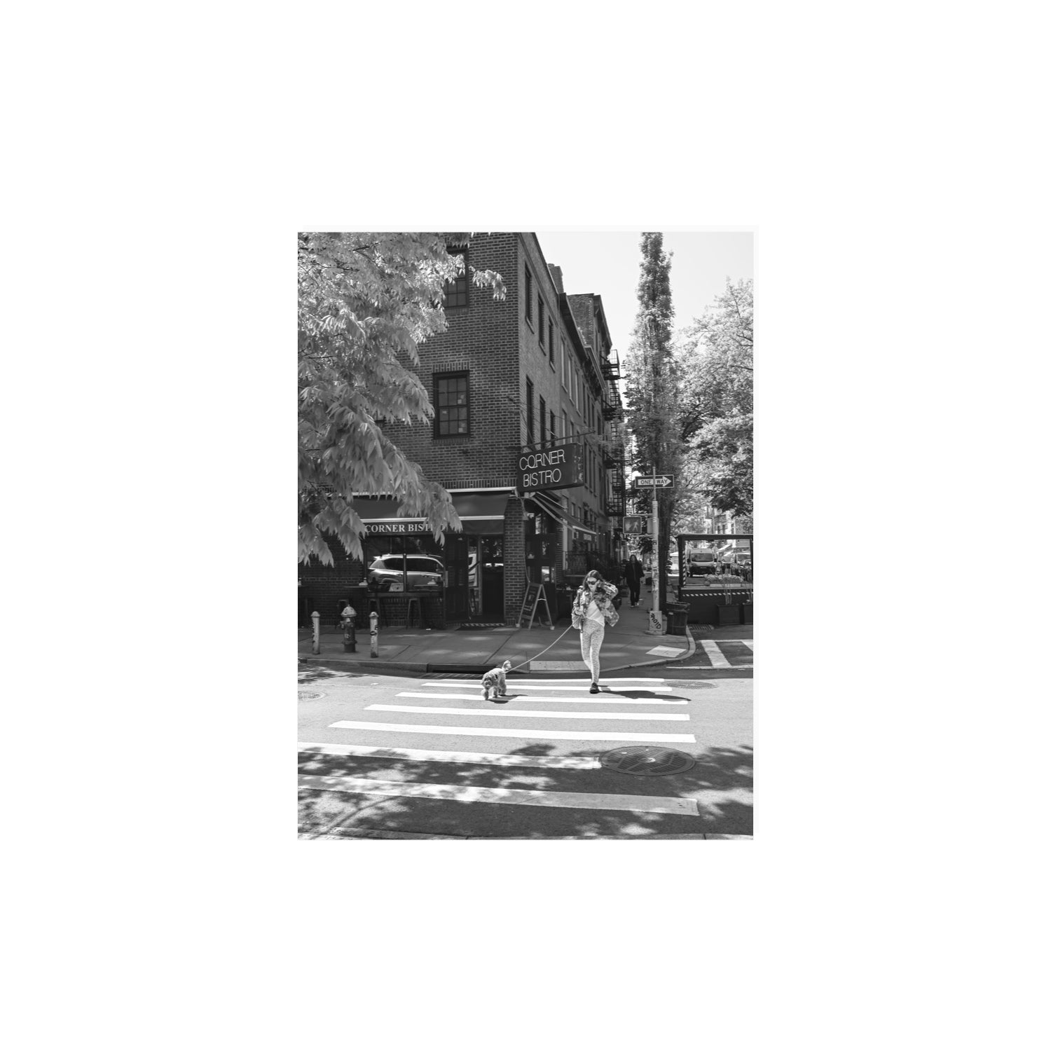 Sunlit Stroll New York NYC Black & White wall art 12 x 16 in unframed fine art canvas