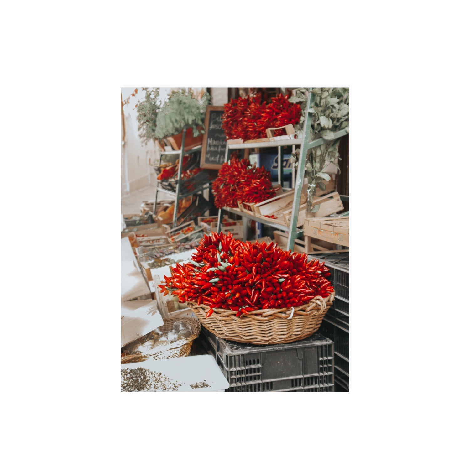 Fiery Cluster Puglia Italian wall art 18 x 24 in unframed fine art canvas