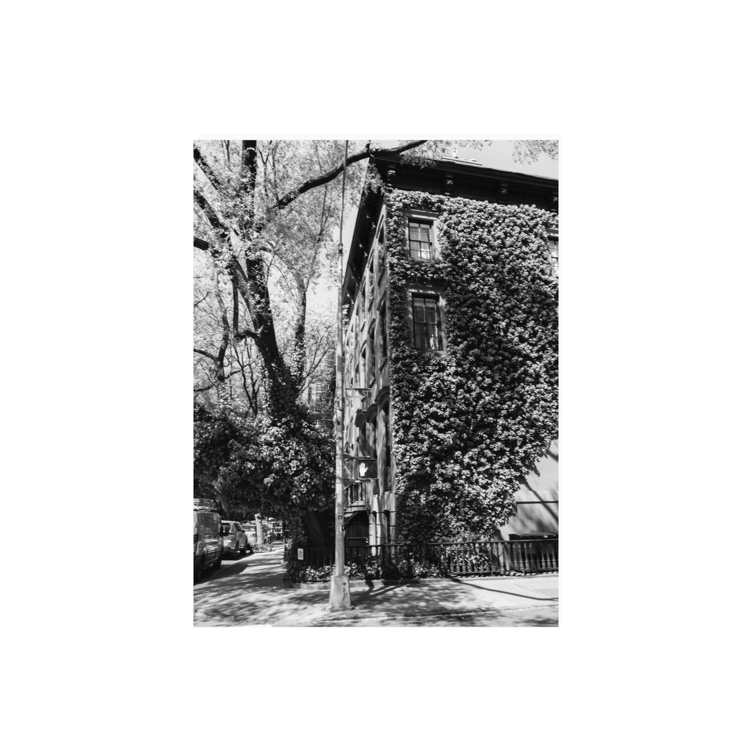 Vertical Garden New York NYC Black & White wall art 18 x 24 in unframed fine art canvas