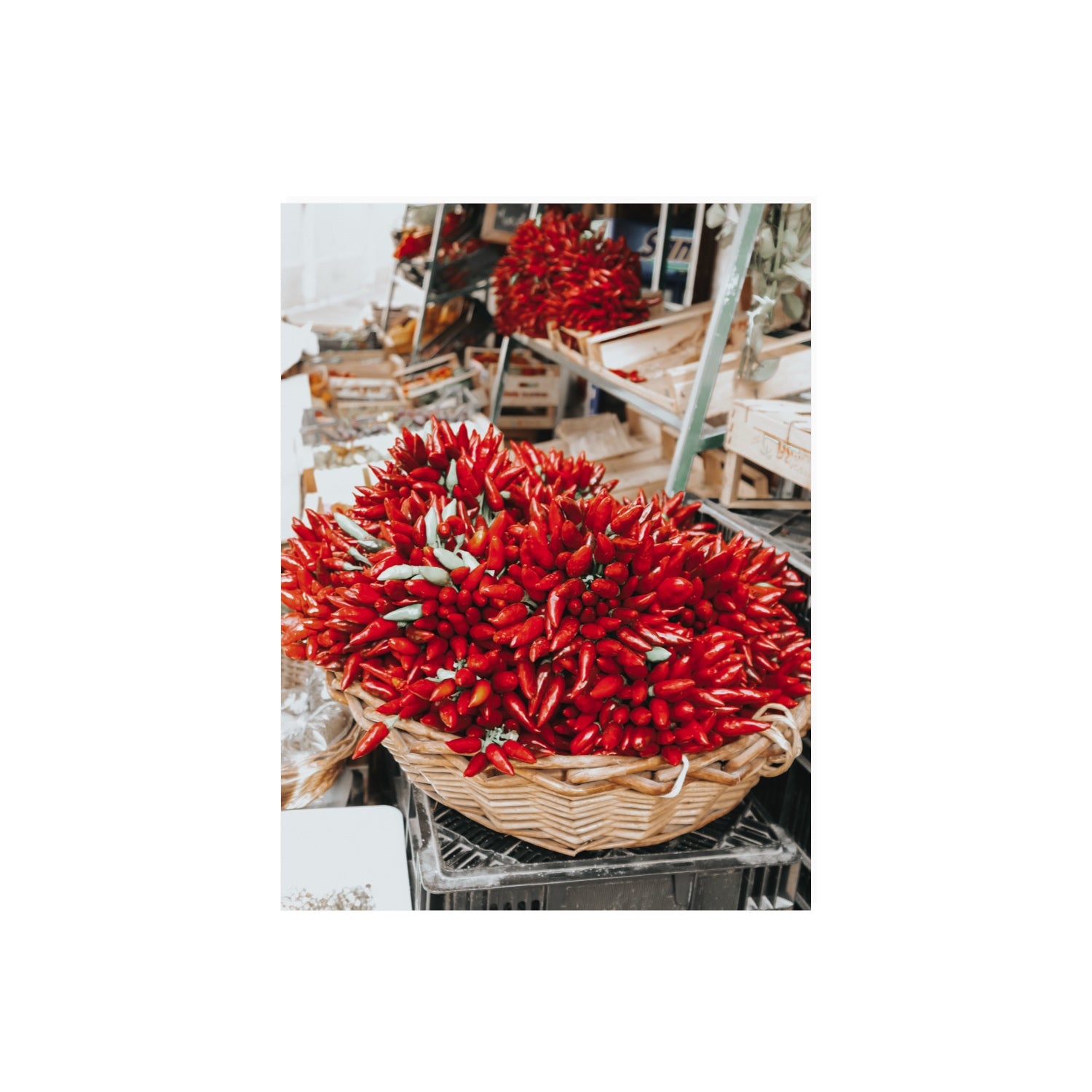 Spicy Bunch Puglia Italian wall art 18 x 24 in unframed fine art canvas