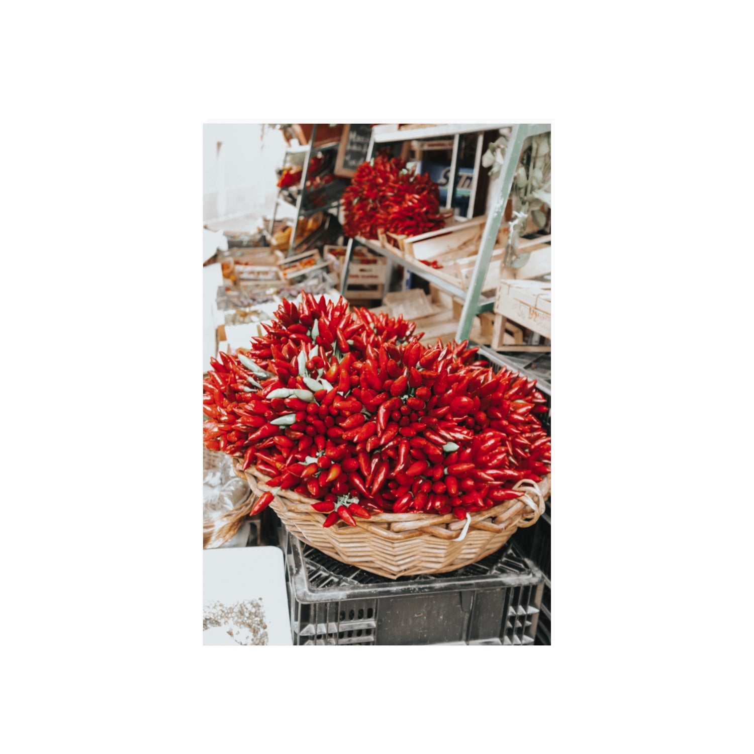 Spicy Bunch Puglia Italian wall art 20 x 30 in unframed fine art canvas