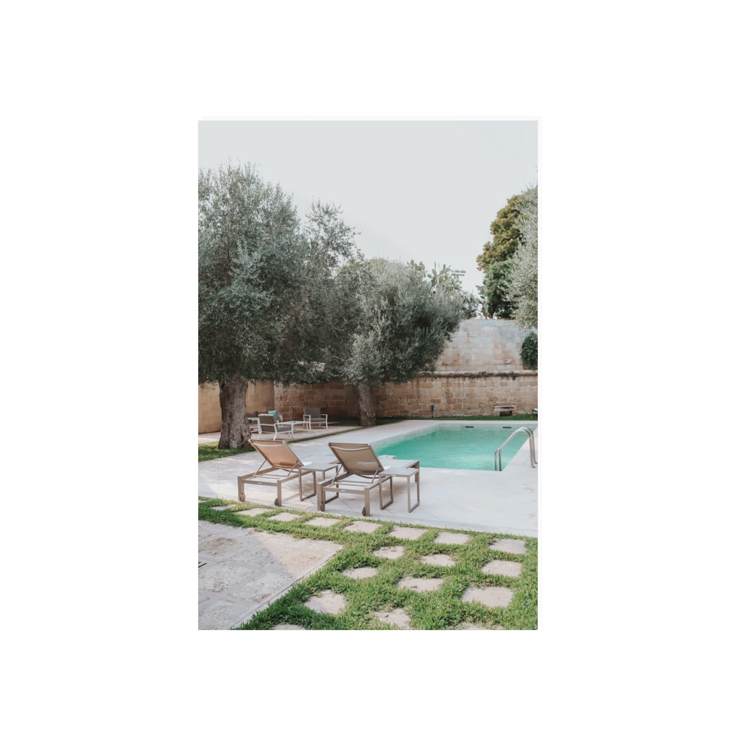 Olive Oasis Puglia Mediterranean wall art 20 x 30 in unframed fine art canvas