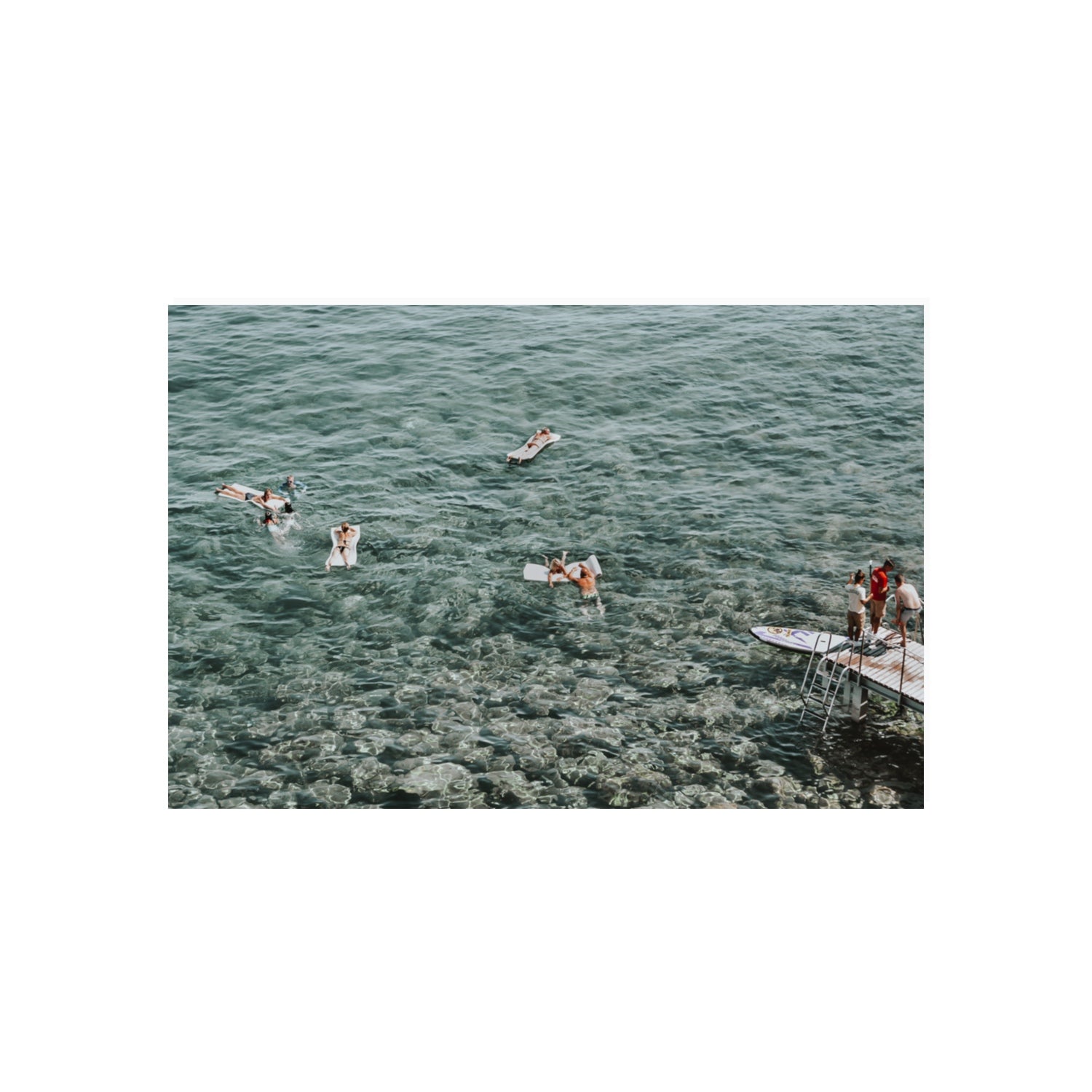 Having A Whale Of A Time Tuscany coastal wall art 20 x 30 in unframed fine art canvas