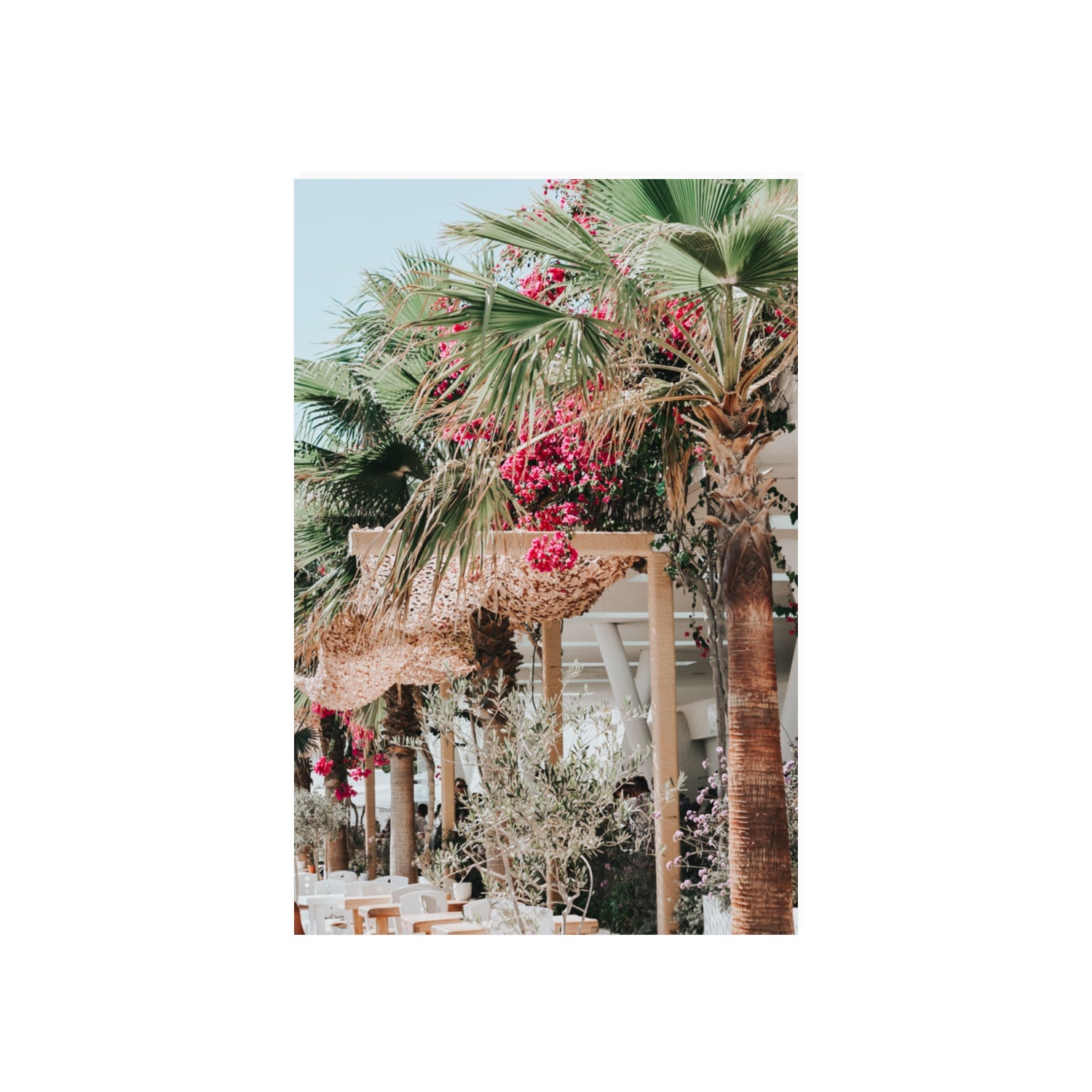 Palm Trees Mykonos Greek island wall art 20 x 30 in unframed fine art canvas