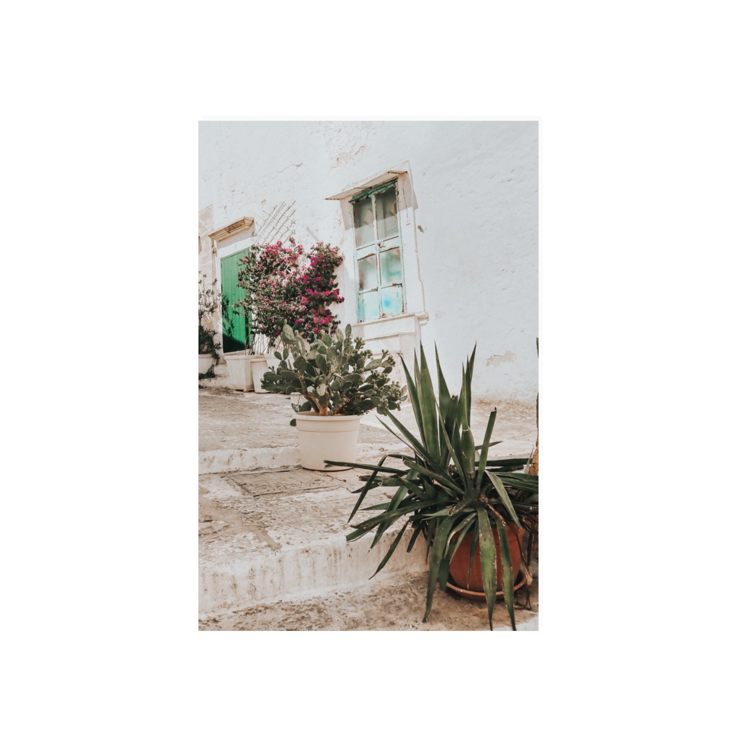 Giardino Segreto Puglia Ostuni wall art 20 x 30 in unframed fine art canvas