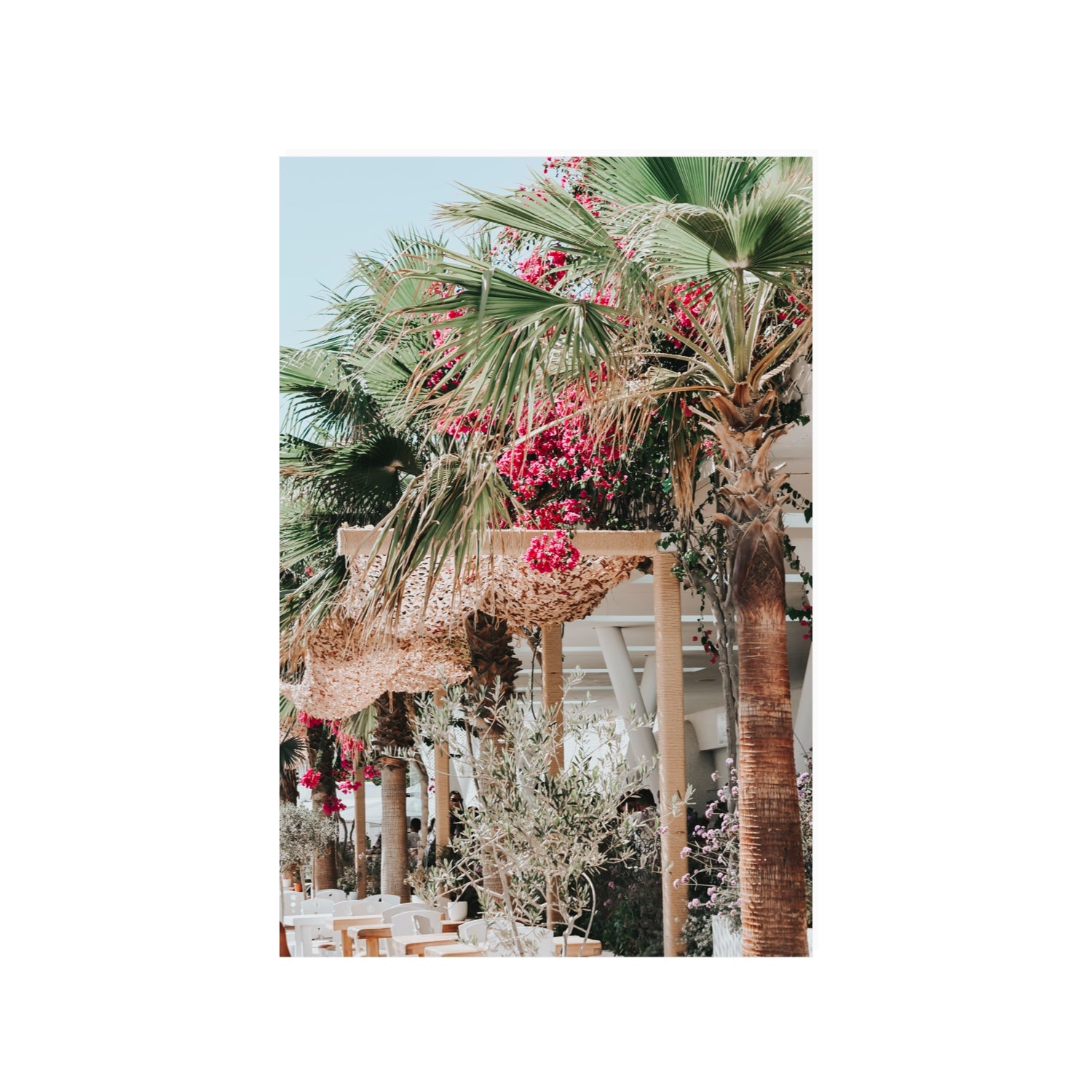 Palm Trees Mykonos Greek island wall art 24 x 36 in unframed fine art canvas