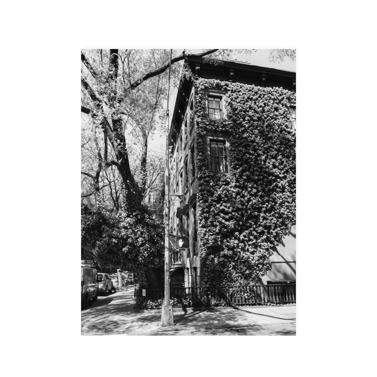 Vertical Garden New York NYC Black & White wall art 30 x 40 in unframed fine art canvas