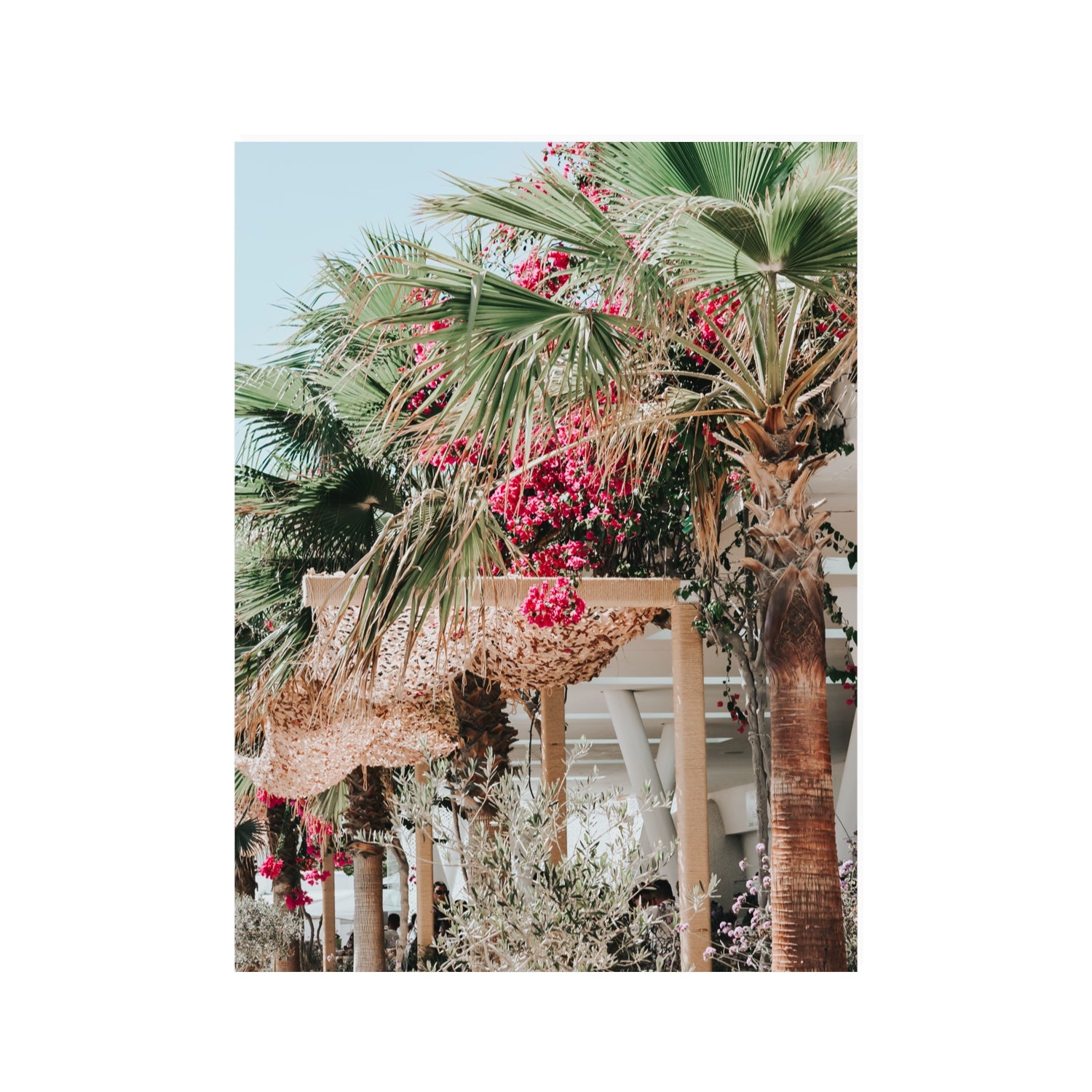 Palm Trees Mykonos Greek island wall art 30 x 40 in unframed fine art canvas