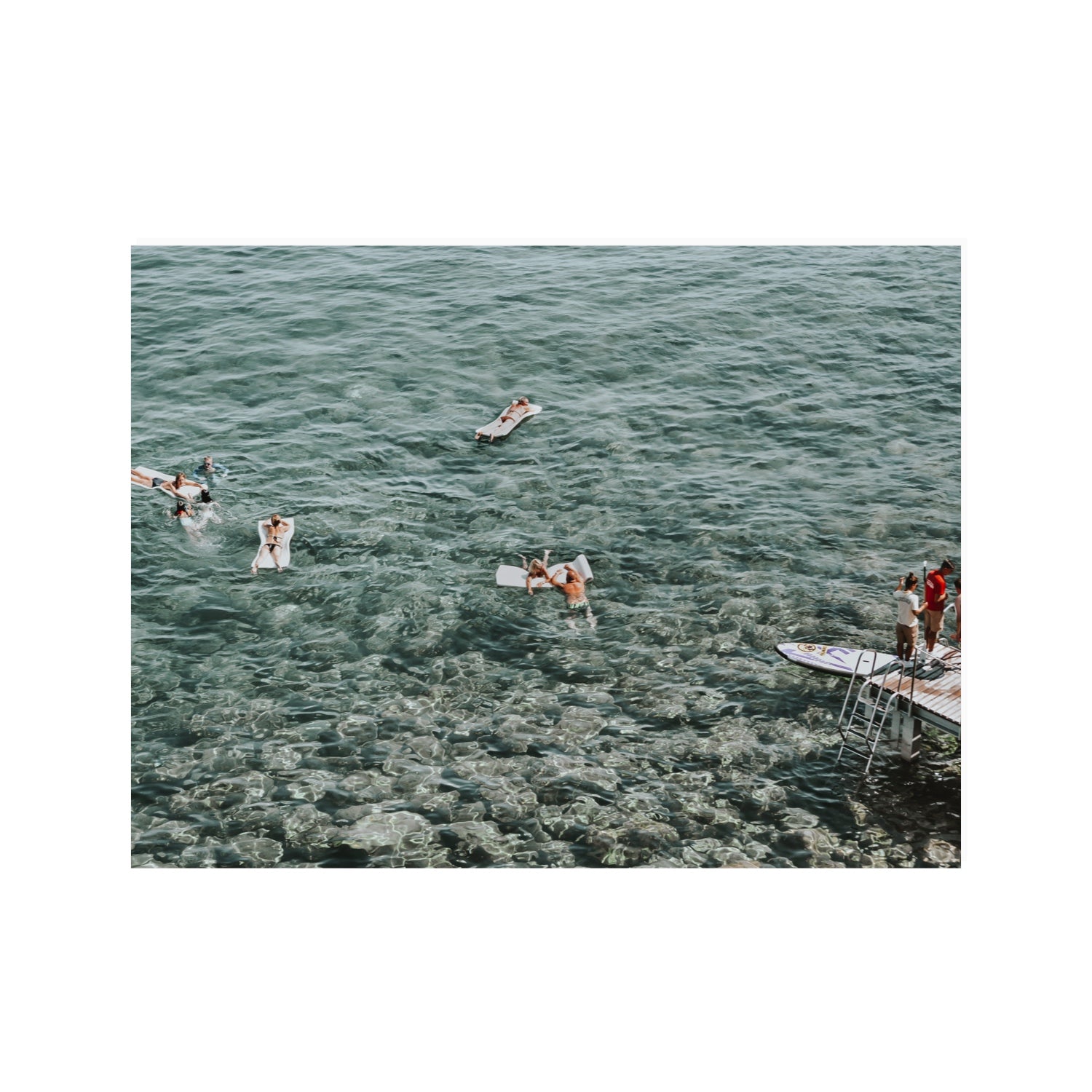 Having A Whale Of A Time Tuscany coastal wall art 30 x 40 in unframed fine art canvas