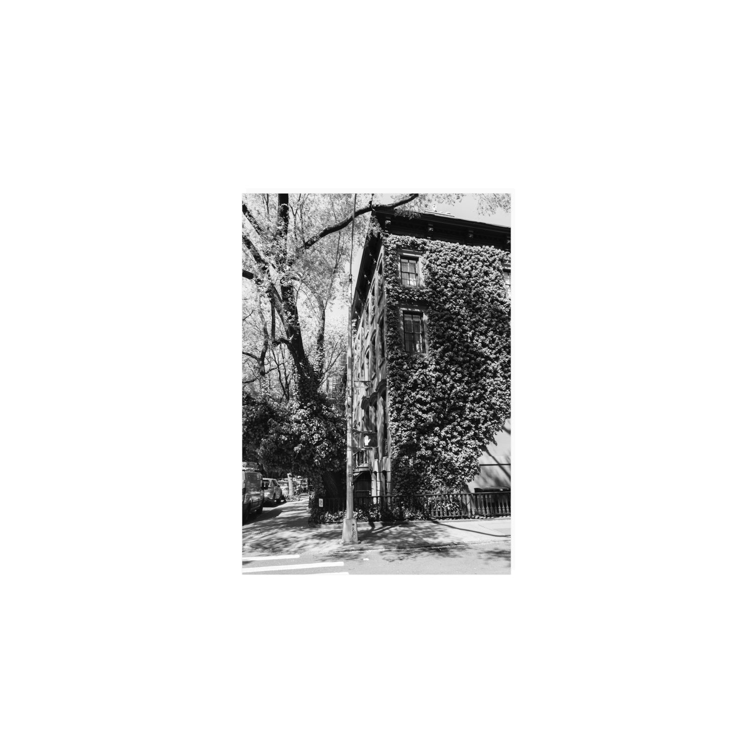 Vertical Garden New York NYC Black & White wall art A5, 21 x 14.8 cm unframed fine art print