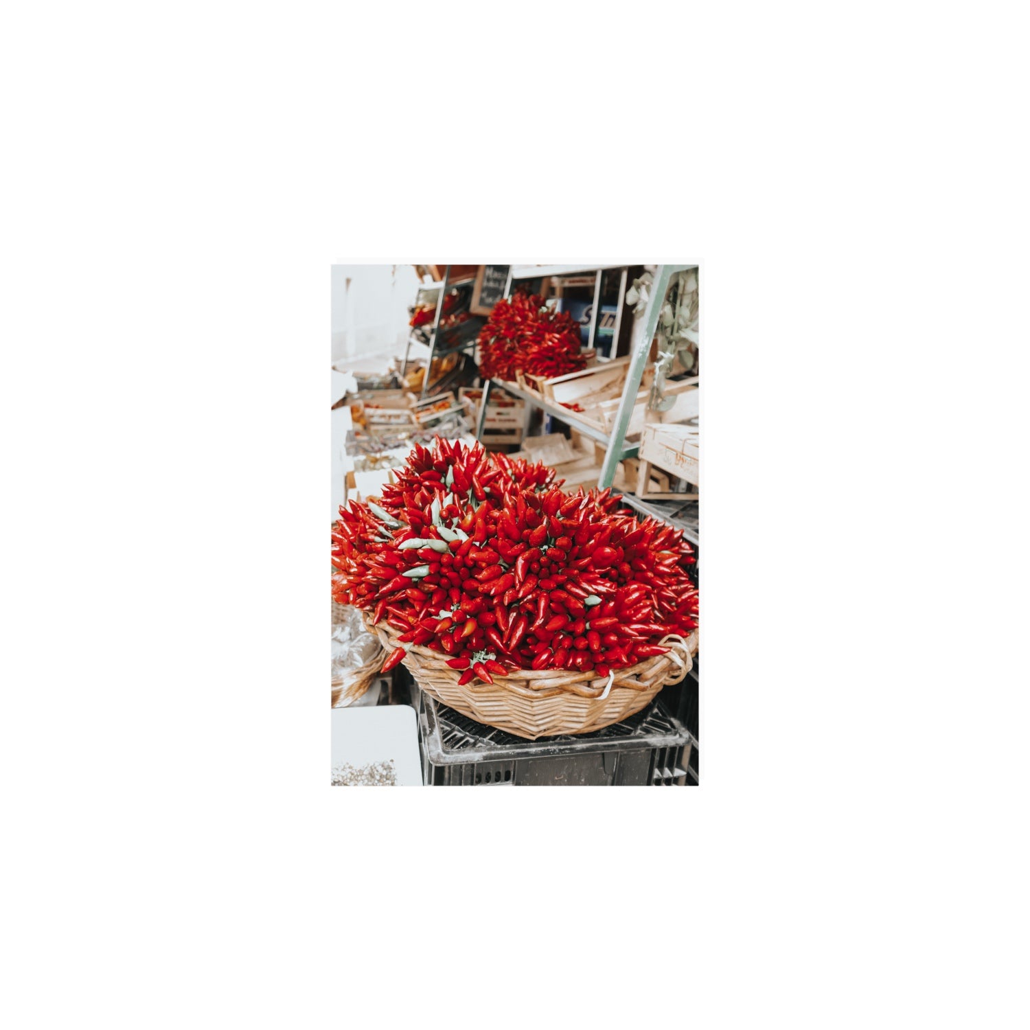 Spicy Bunch Puglia Italian wall art A5, 21 x 14.8 cm unframed fine art print