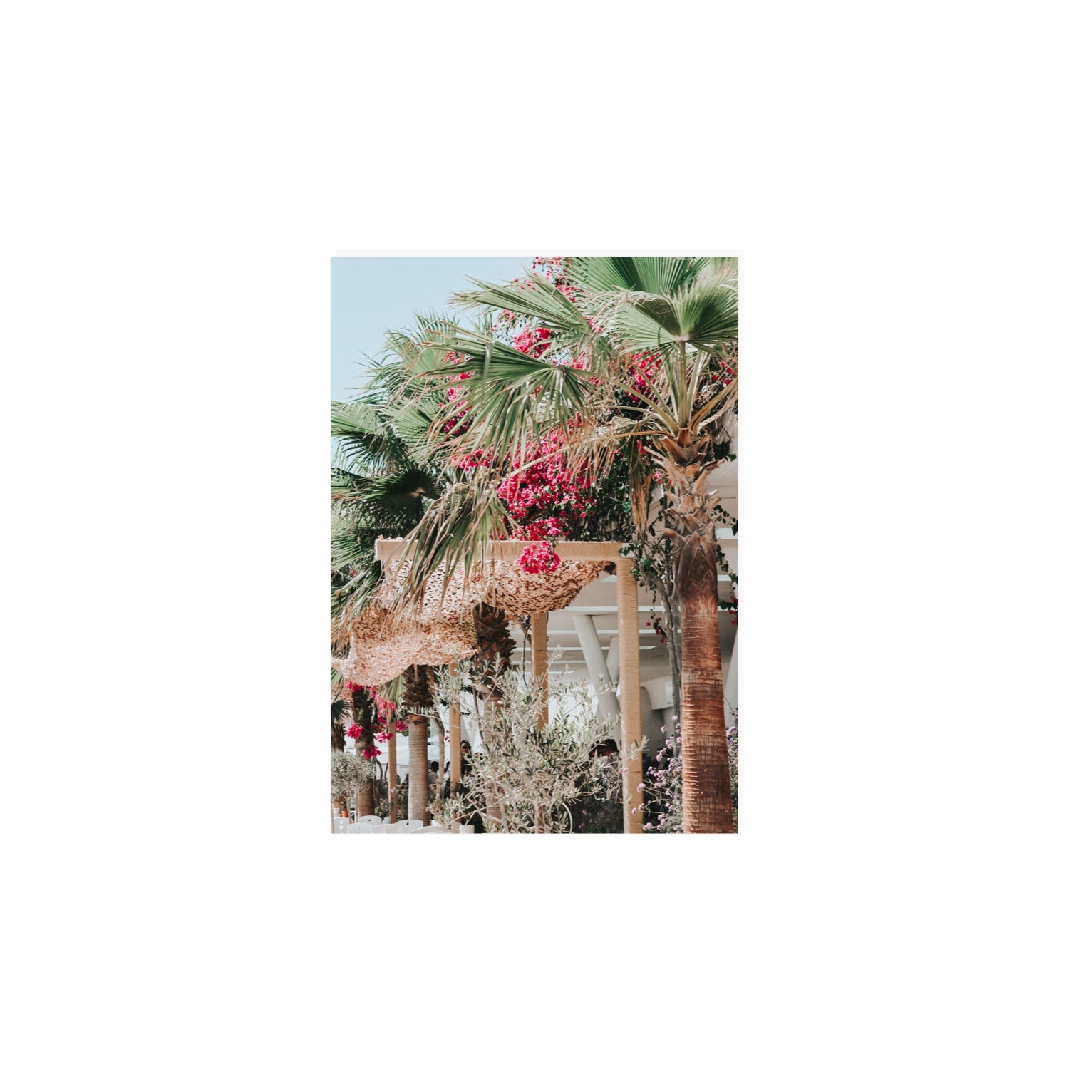 Palm Trees Mykonos Greek island wall art A4, 29.7 x 21 cm unframed fine art print