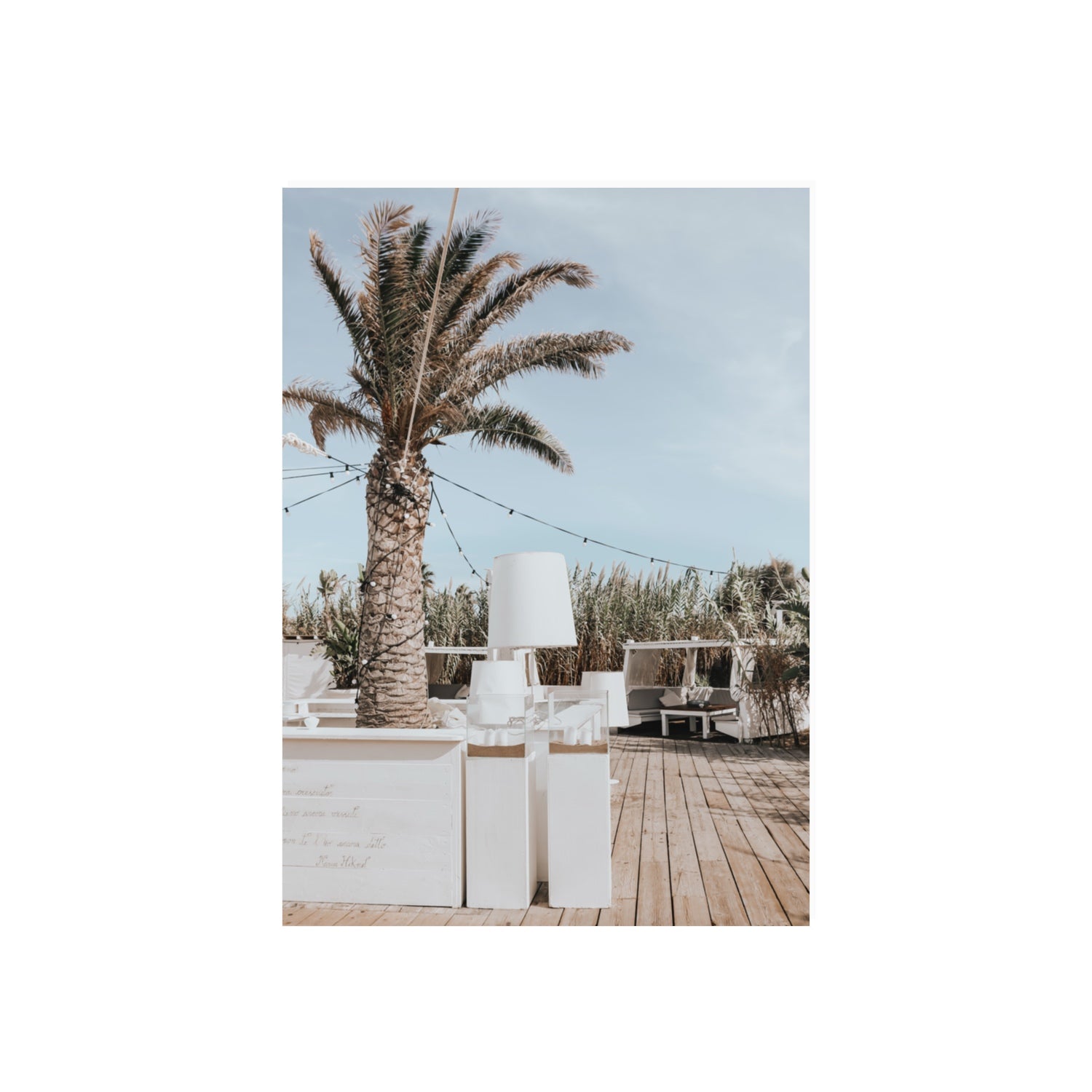 Seabreeze Palm Puglia coastal beach wall art 70 x 50 cm unframed fine art print