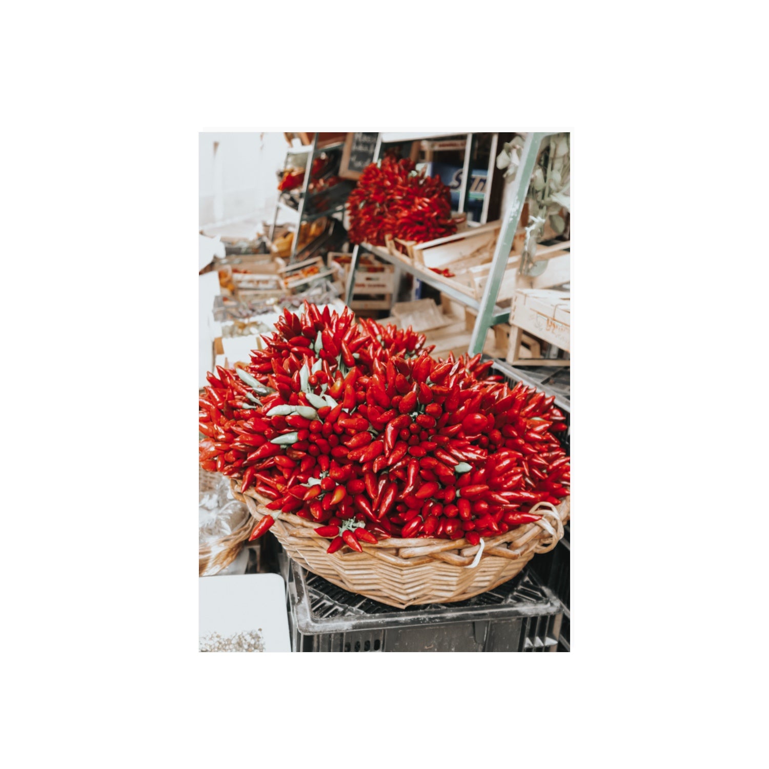 Spicy Bunch Puglia Italian wall art 70 x 50 cm unframed fine art print
