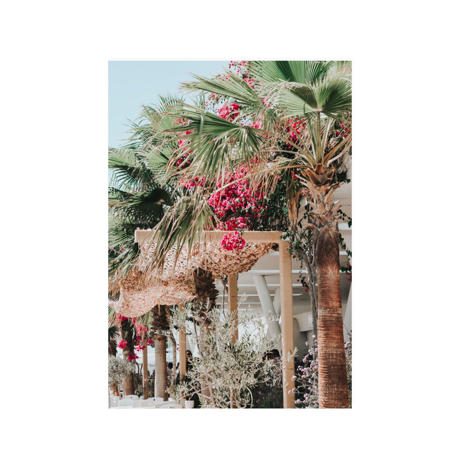 Palm Trees Mykonos Greek island wall art 100 x 70 cm unframed fine art print