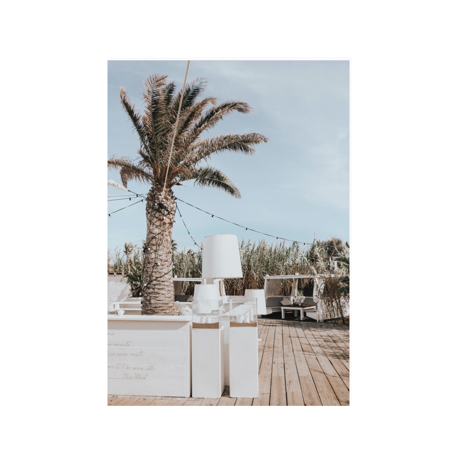 Seabreeze Palm Puglia coastal beach wall art 100 x 70 cm unframed fine art print