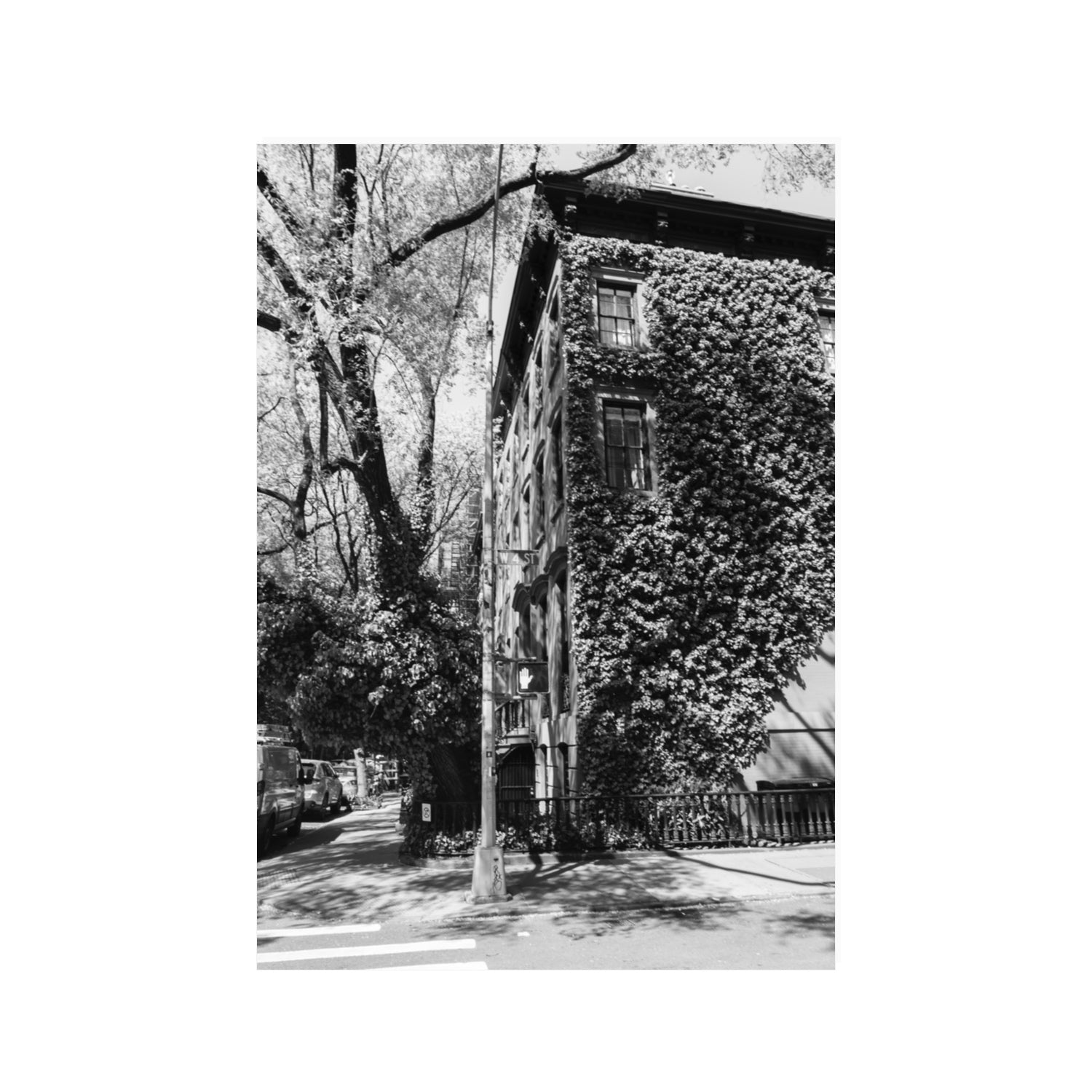 Vertical Garden New York NYC Black & White wall art 100 x 70 cm unframed fine art print