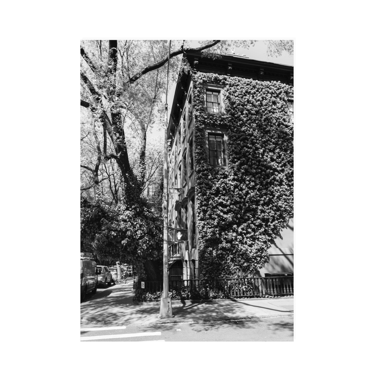 Vertical Garden New York NYC Black & White wall art A0 unframed fine art print