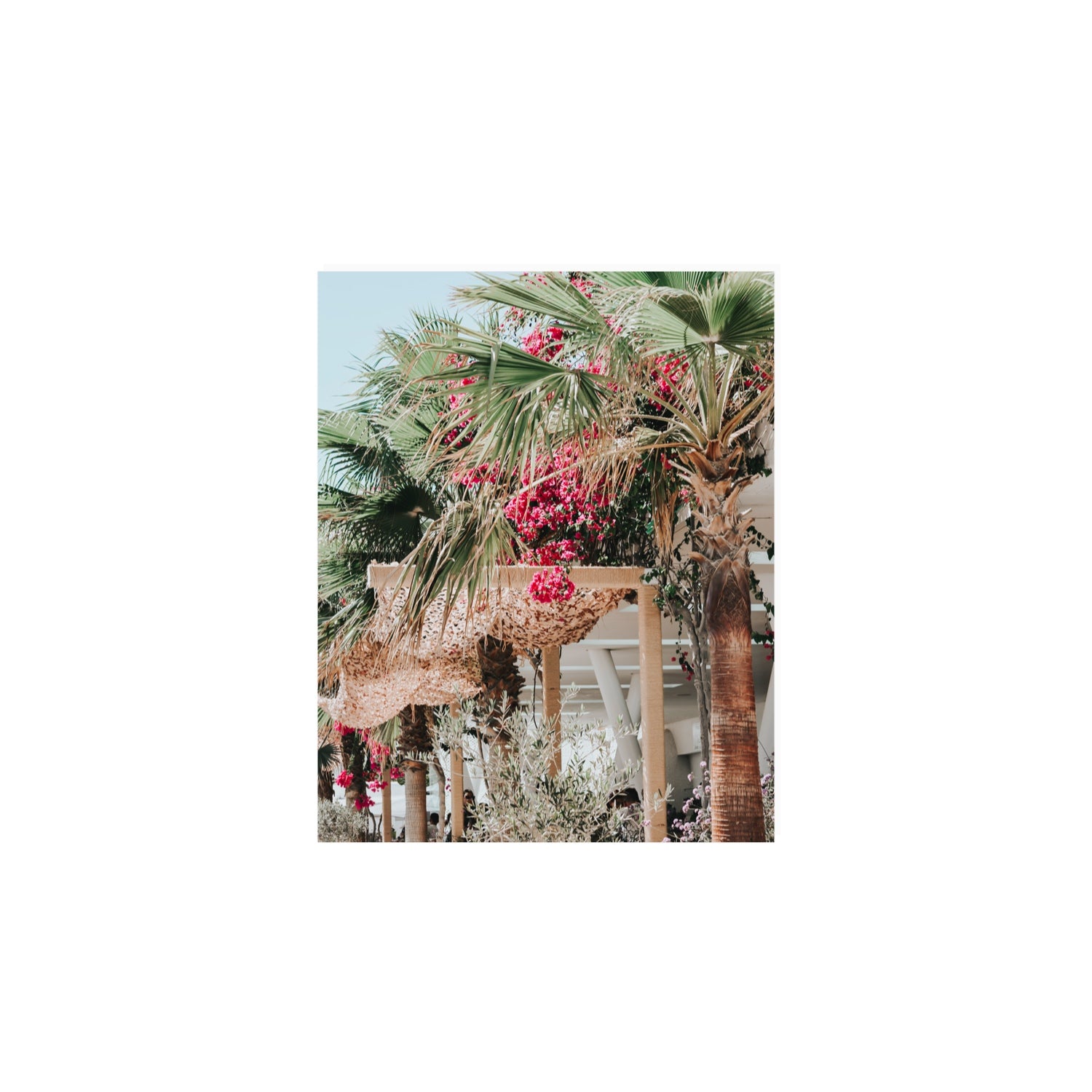 Palm Trees Mykonos Greek island wall art 8 x 10 in unframed fine art print