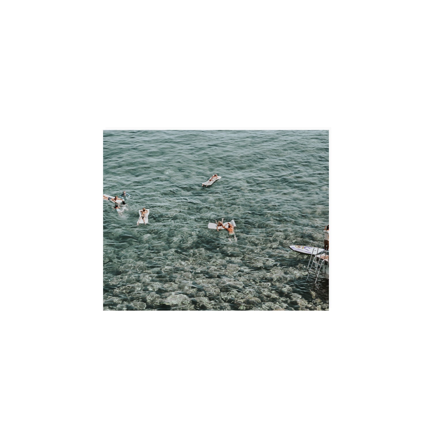 Having A Whale Of A Time Tuscany coastal wall art 8 x 10 in unframed fine art print