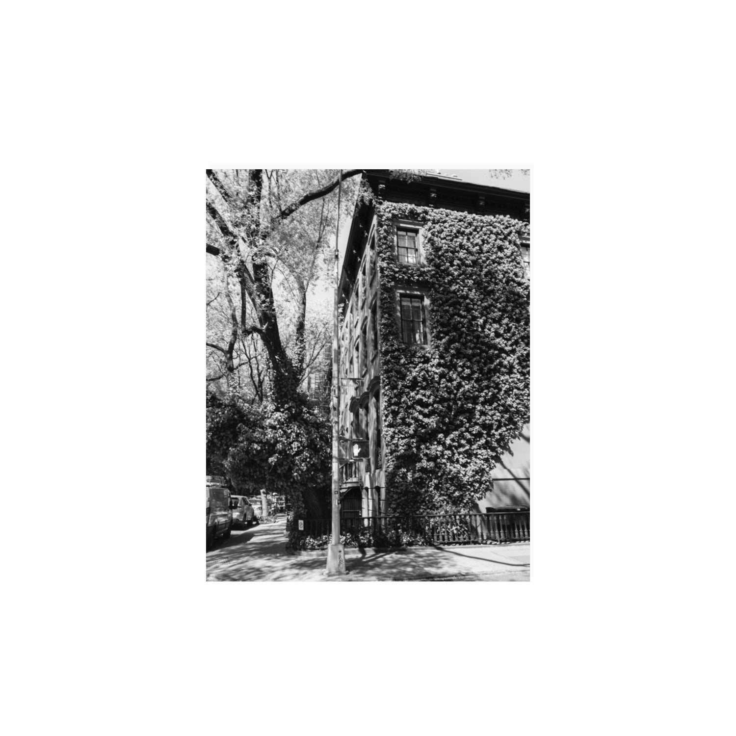 Vertical Garden New York NYC Black & White wall art 11 x 14 in unframed fine art print