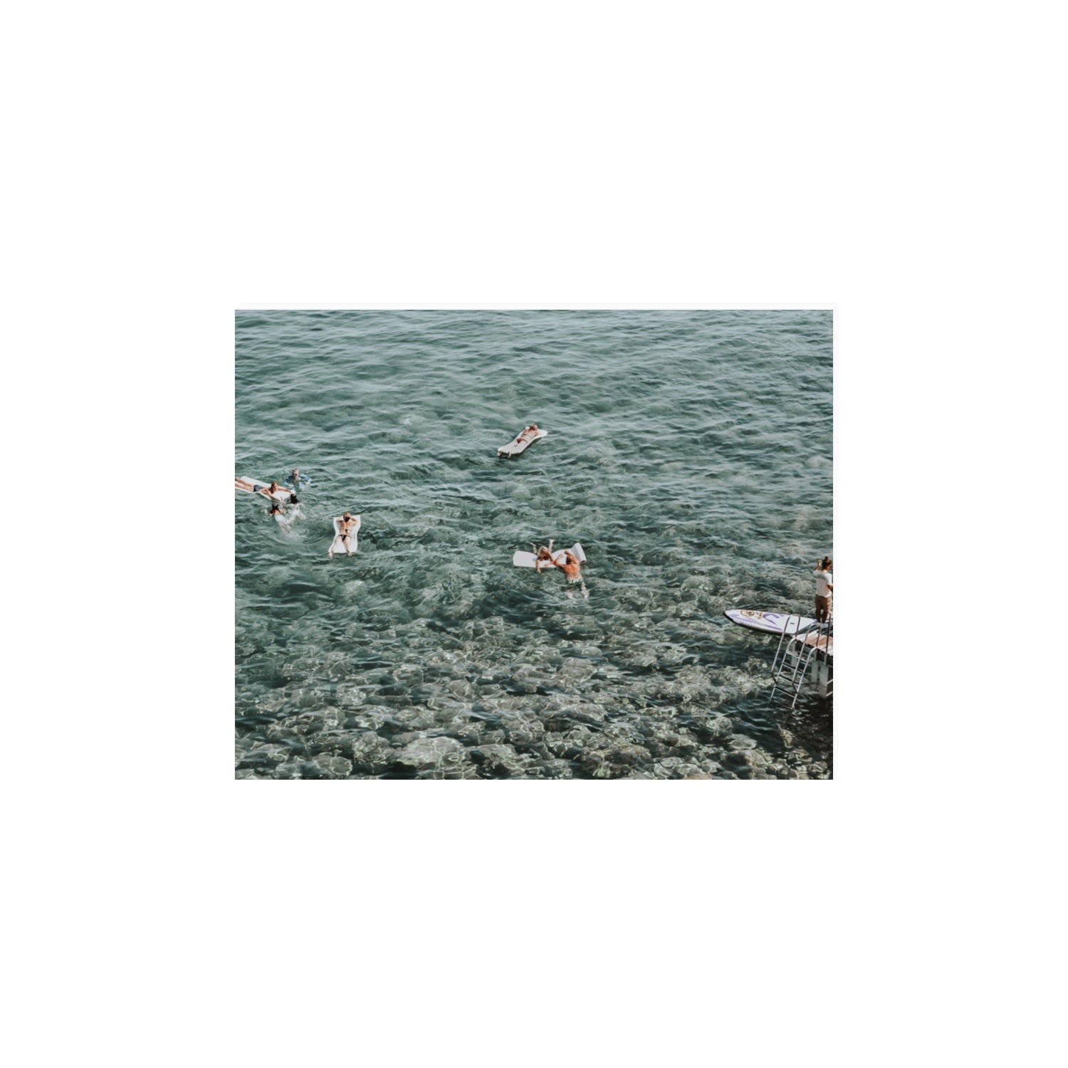 Having A Whale Of A Time Tuscany coastal wall art 11 x 14 in unframed fine art print
