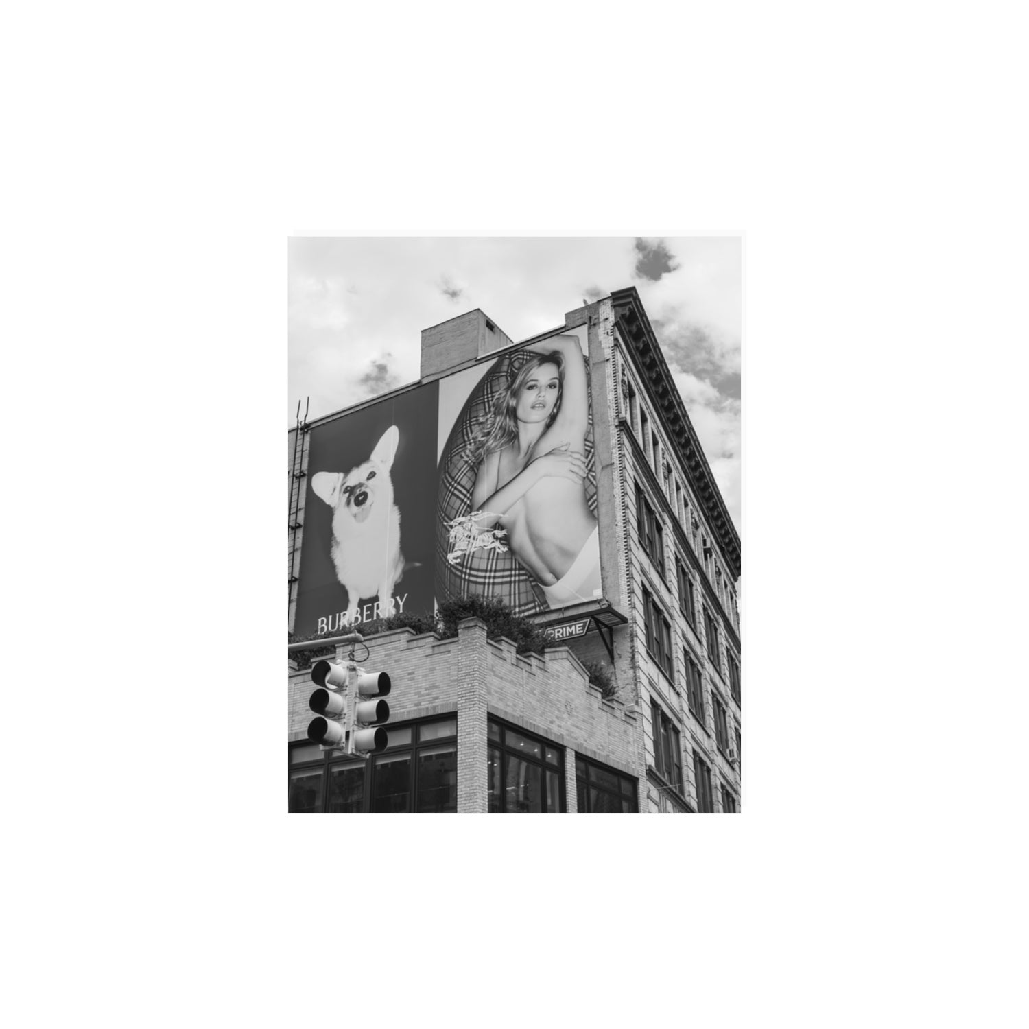 Dynamic Duo fine art print, New York, United States, 11 x 14 in, Unframed, Fine Art Print