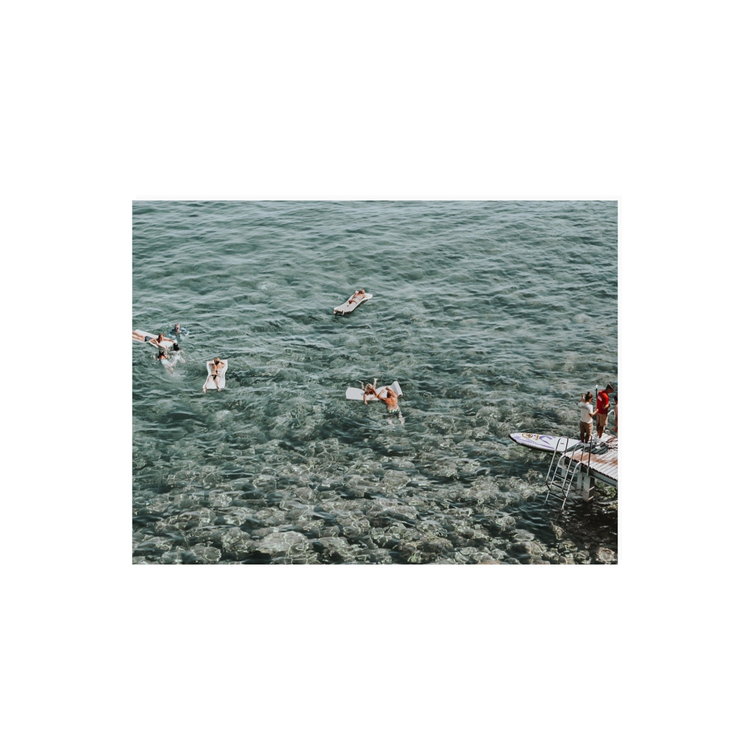Having A Whale Of A Time Tuscany coastal wall art 18 x 24 in unframed fine art print