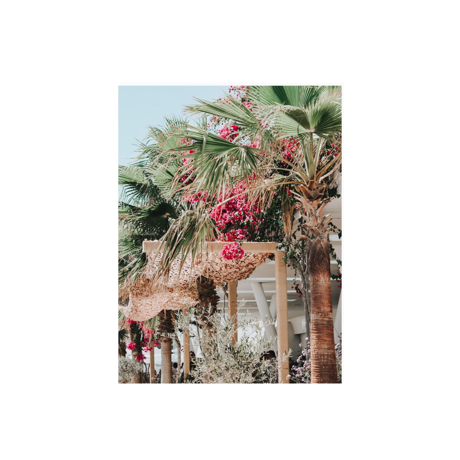 Palm Trees Mykonos Greek island wall art 18 x 24 in unframed fine art print