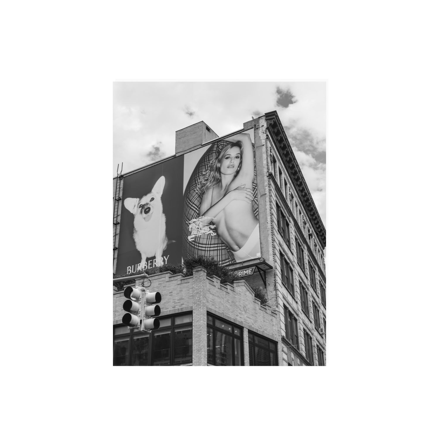 Dynamic Duo fine art print, New York, United States, 18 x 24 in, Unframed, Fine Art Print