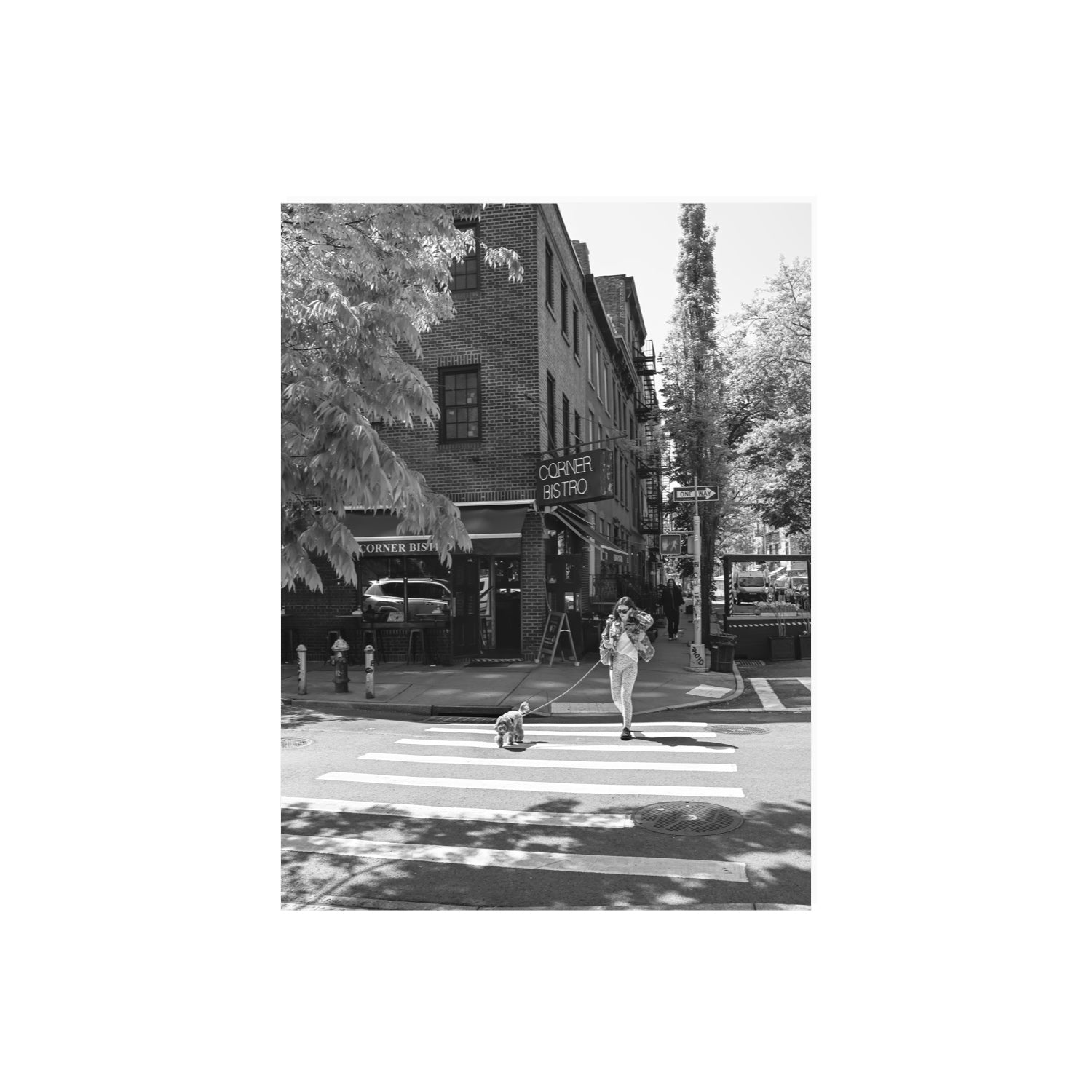 Sunlit Stroll New York NYC Black & White wall art 18 x 24 in unframed fine art print