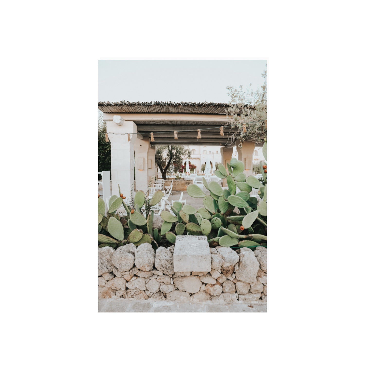 Puglia Flora Puglia Borgo Egnazia Mediterranean wall art 20 x 30 in unframed fine art print