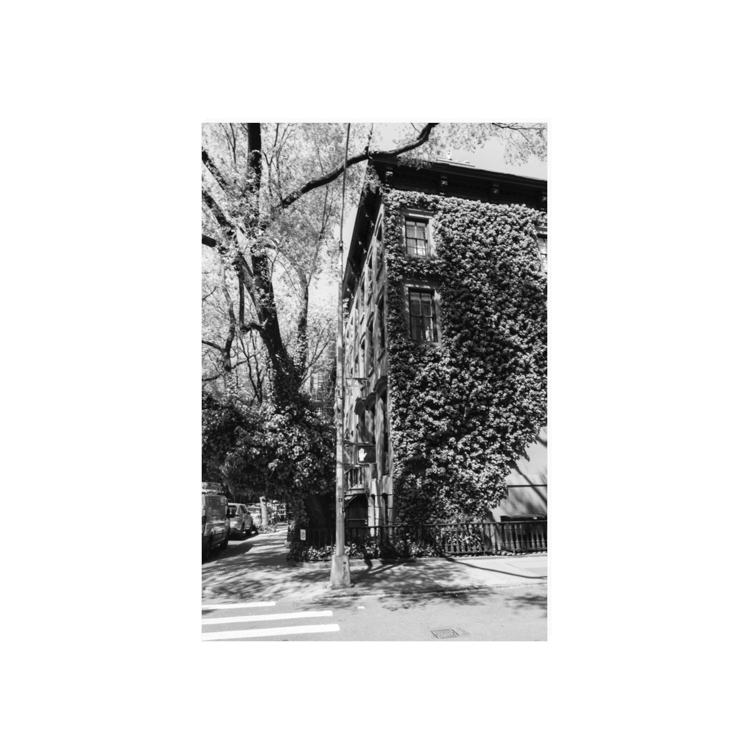 Vertical Garden New York NYC Black & White wall art 20 x 30 in unframed fine art print