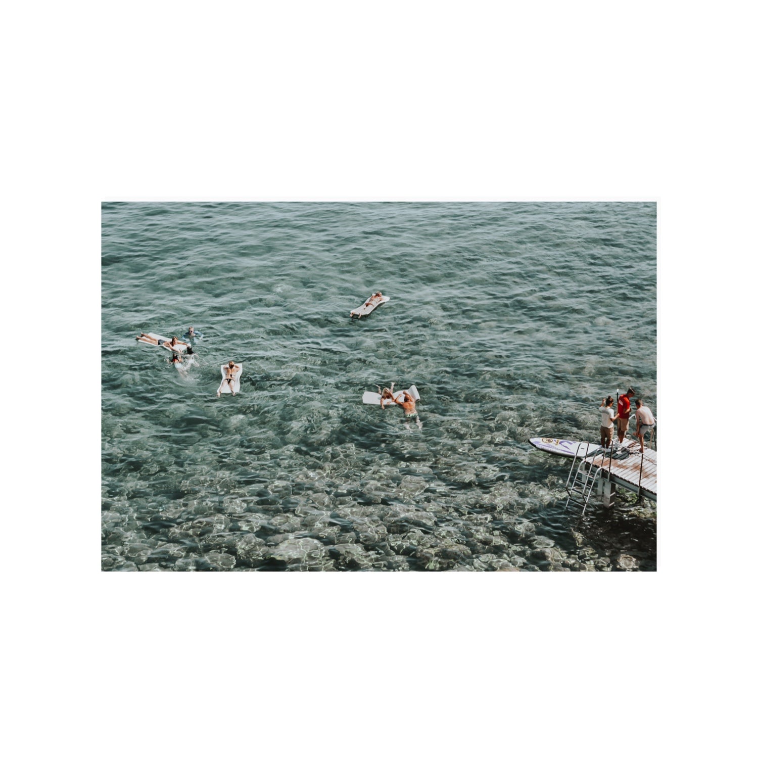 Having A Whale Of A Time Tuscany coastal wall art 24 x 36 in unframed fine art print
