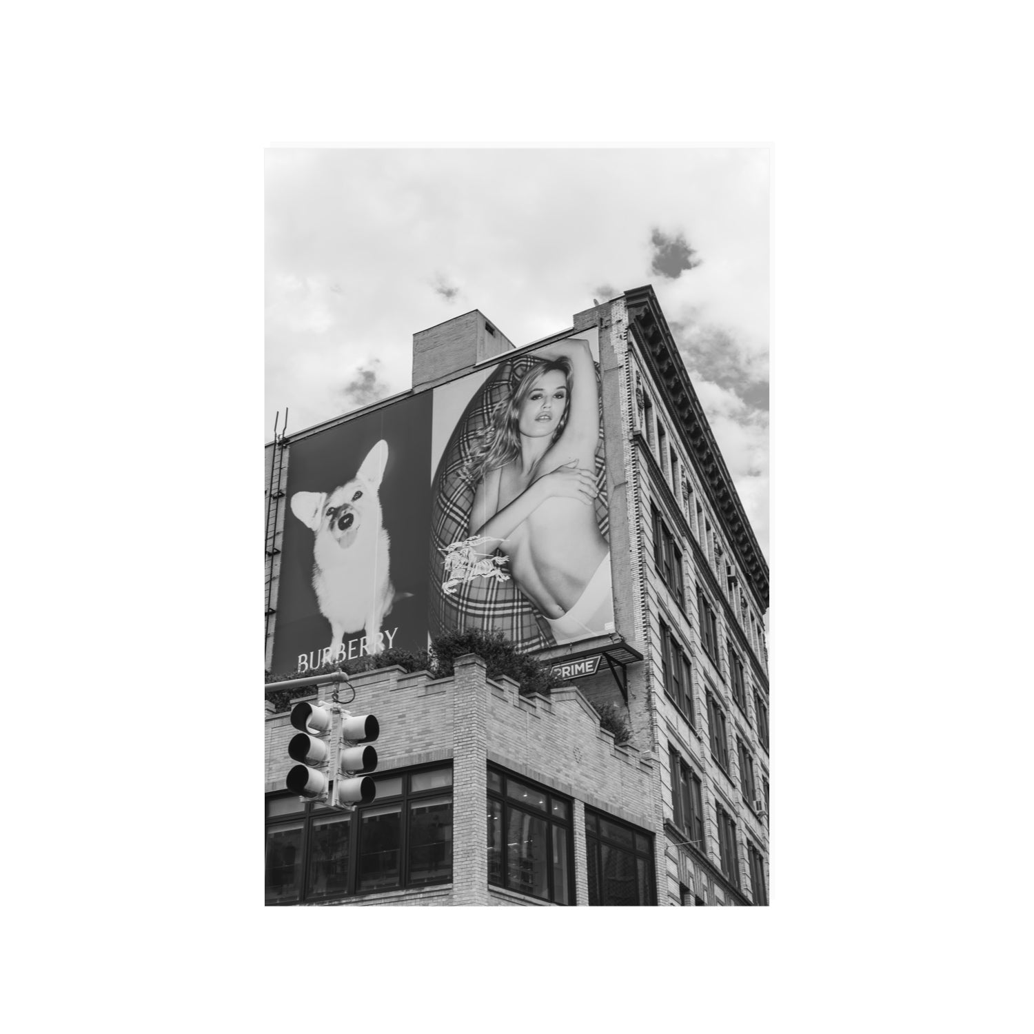 Dynamic Duo fine art print, New York, United States, 24 x 36 in, Unframed, Fine Art Print