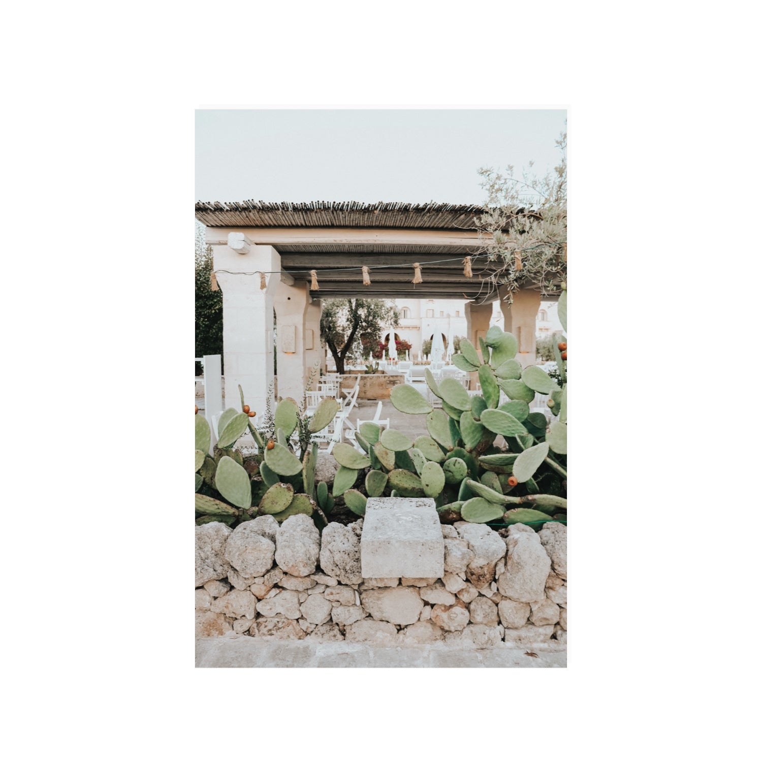Puglia Flora Puglia Borgo Egnazia Mediterranean wall art 24 x 36 in unframed fine art print
