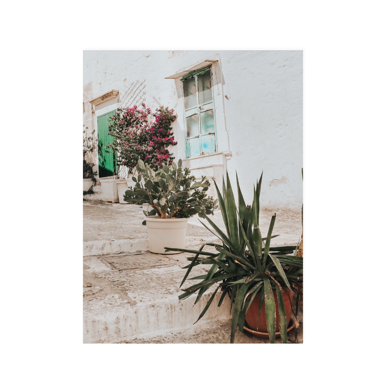Giardino Segreto Puglia Ostuni wall art 30 x 40 in unframed fine art print